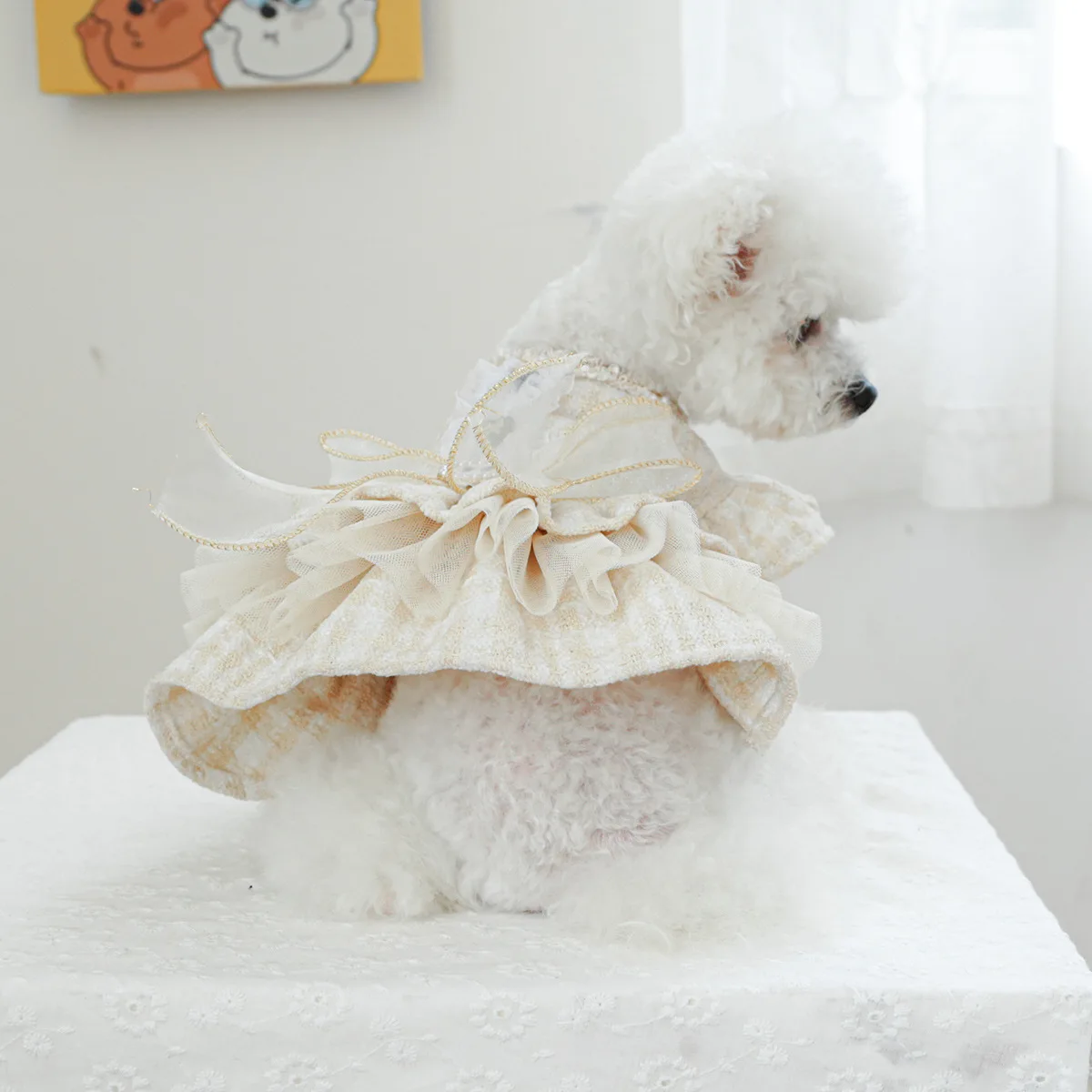 Vestido con lazo de encaje, falda en gasa para perros y gatos pequeños