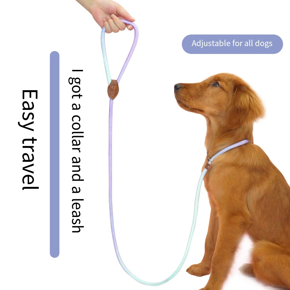 Correas de nailon para perros pequeños y grandes – Manos libres paseos - imagen 4
