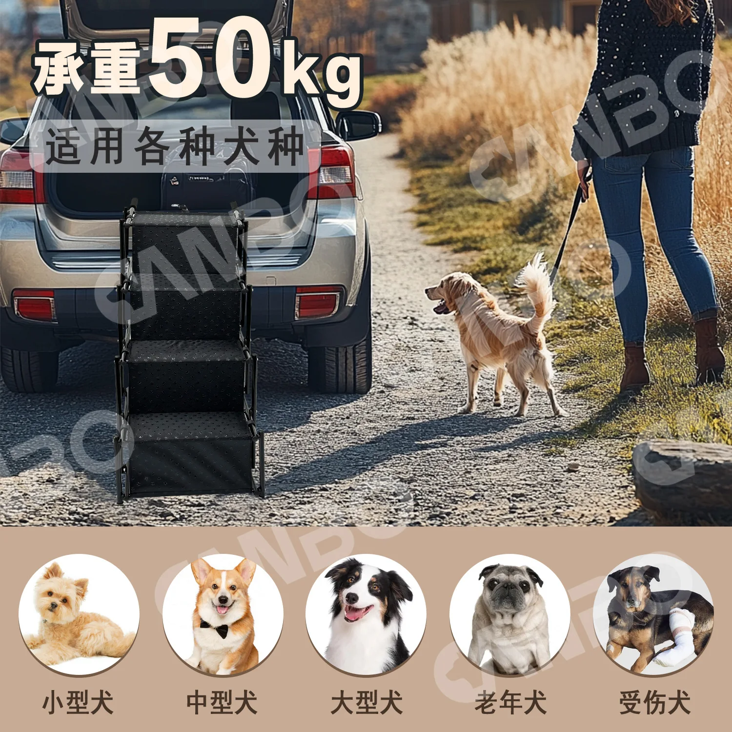 Escalera plegable para perros - rampa portátil para coche y casa - imagen 5
