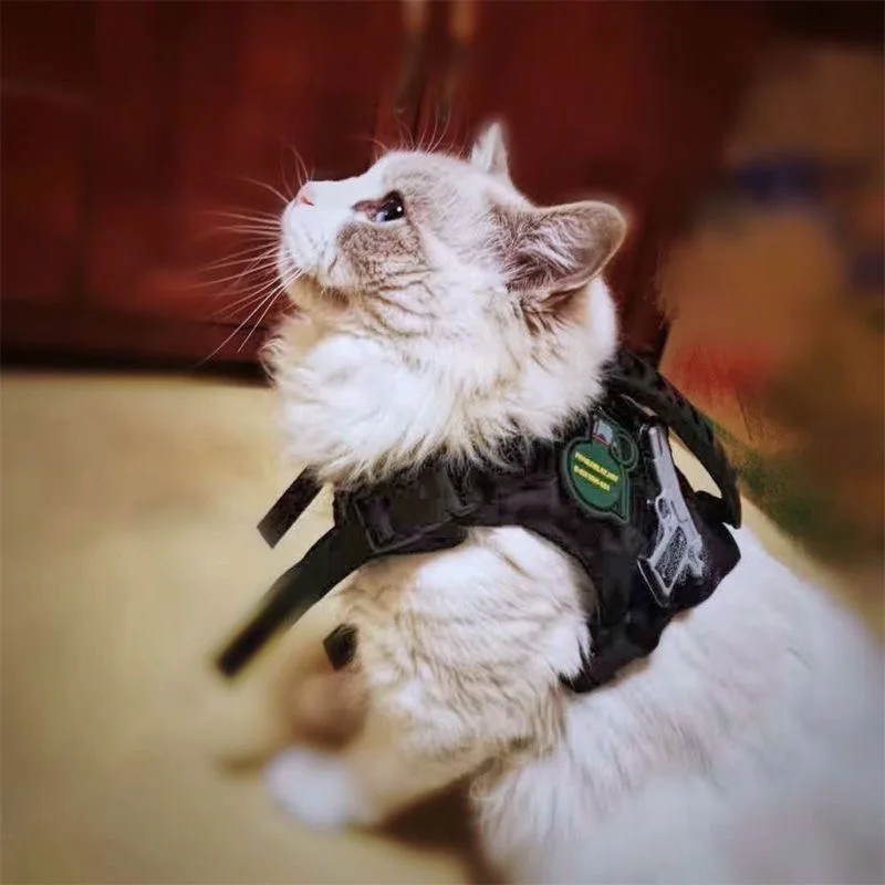 Arnés chaleco para gatos y cachorros – Malla acolchada con hebilla rápida - imagen 4