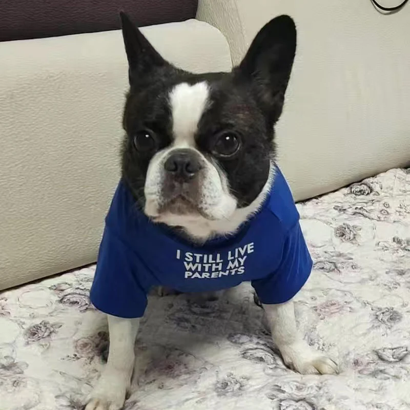 Camiseta con estampado bonito para perros pequeños, ropa para mascotas, camisetas Schnauzer Pug, sudadera, disfraz para mascotas, primavera y otoño - imagen 4