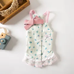 Ropa de encaje para mascotas, vestido de princesa con tirantes, oso de peluche, perro, gato, ropa de casa para cachorros, primavera y verano, nuevo