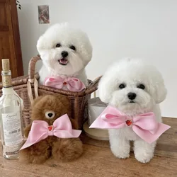 Lazo brillante para perro y gato – Accesorio para fotos
