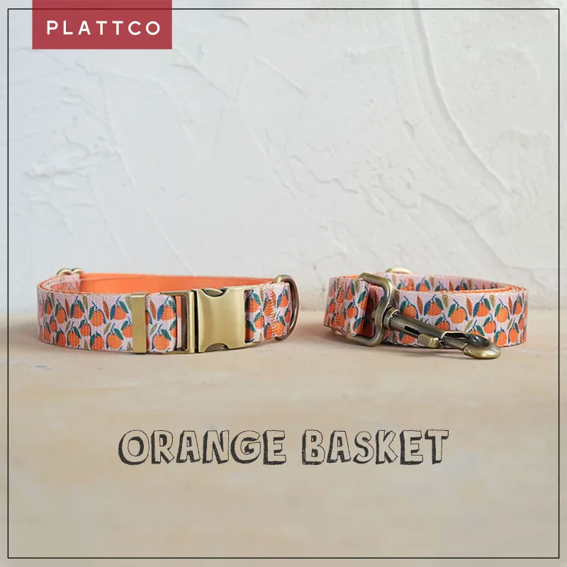 Conjunto para perro con banda naranja y hebilla de bronce alta calidad