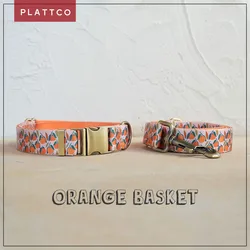 Conjunto para perro con banda naranja y hebilla de bronce alta calidad