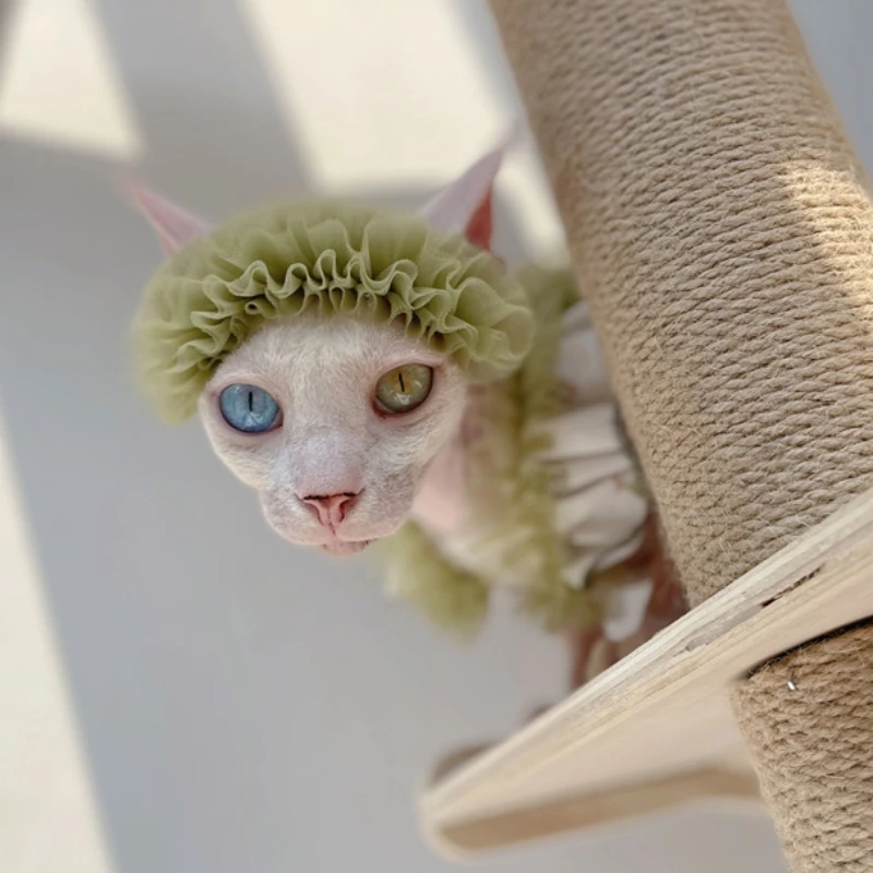 Vestido de algodón de encaje floral Sphynx con cinturón para el cabello de gato traje para gatos hembras falda de princesa suspendida verde de verano chaleco para gatitos - imagen 2
