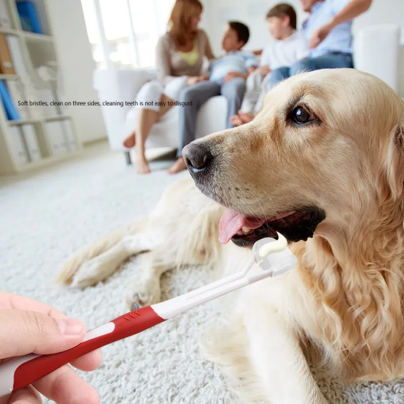 Cepillo de dientes para mascotas, cepillo de dientes para el cuidado bucal, tres caras, suministros para mascotas - imagen 2
