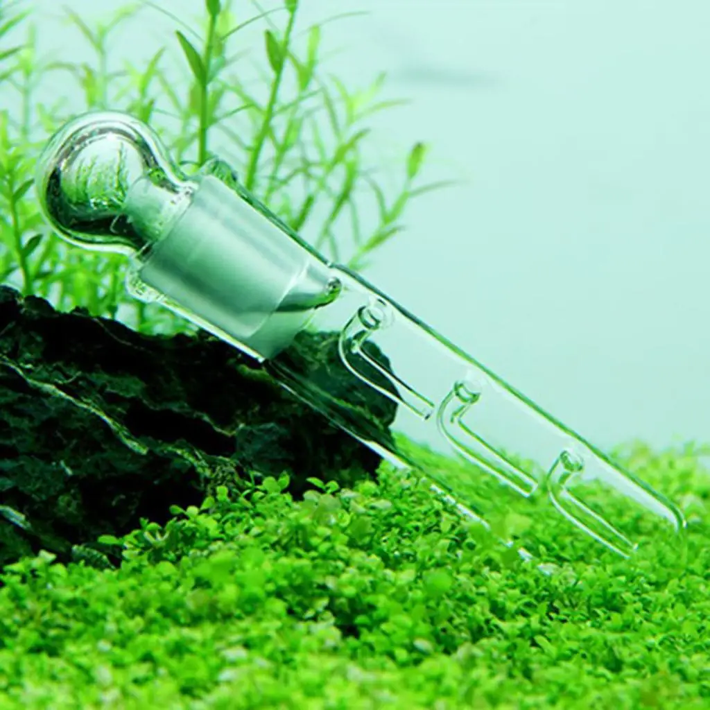 Leech Tool 1/2/3 Hole Planaria Trapping for Aquarium Tanks