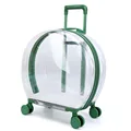 Green glossy