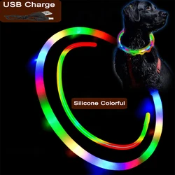 Collar LED USB para perros y gatos - brillo nocturno y seguridad