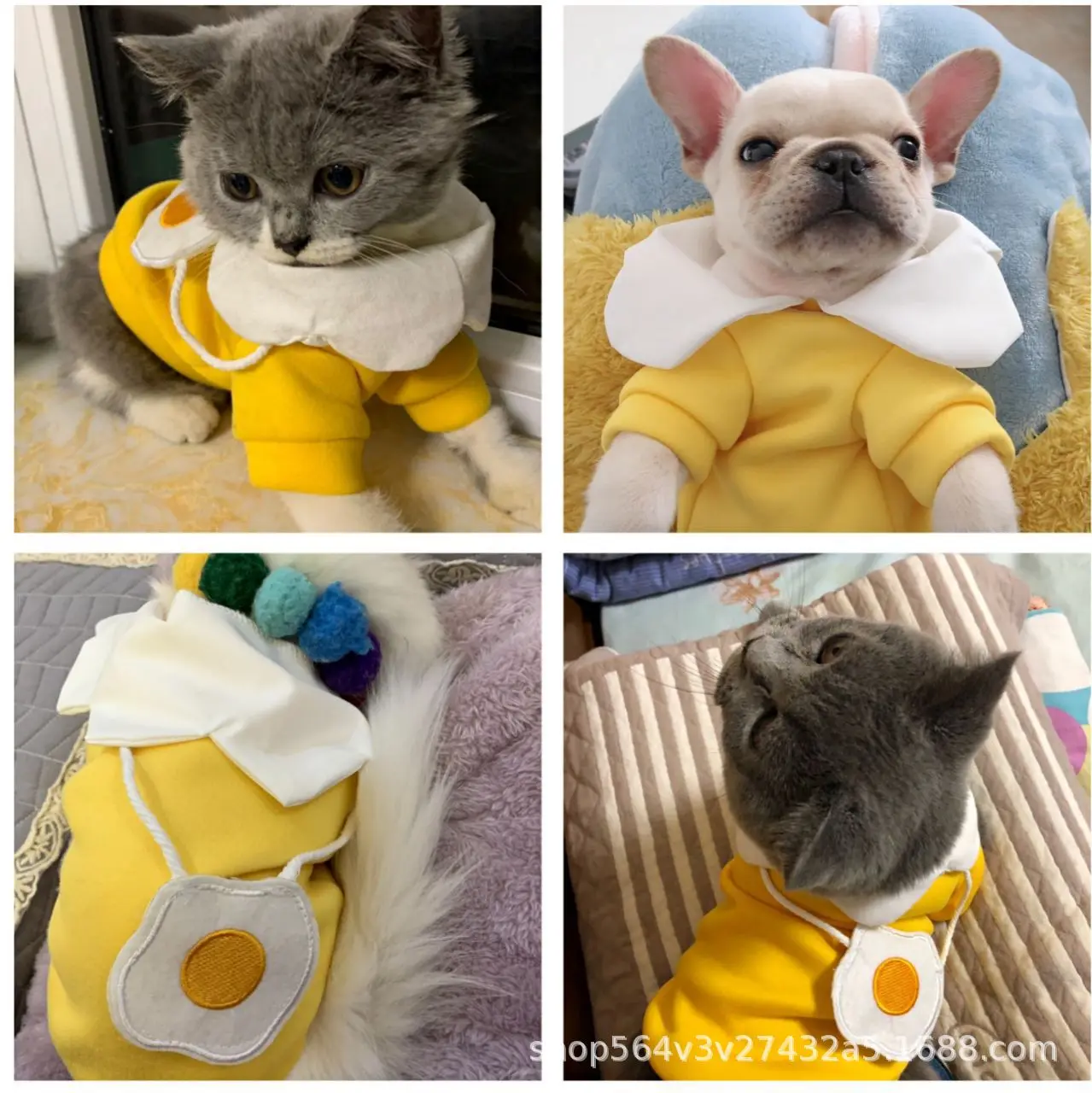 Ropa para perros Otoño e Invierno Perro PEQUEÑO Teddy Pomerania Schnauzer Corgi Lindo suéter amarillo Productos para mascotas - imagen 3