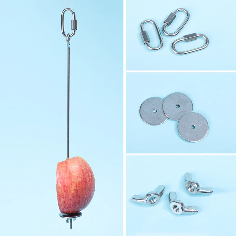 Pincho de juguete para pájaros, soporte colgante de lanza de fruta, mascota, loro, periquito, tenedor de alimentación de carne, palo de acero inoxidable para pincho de verduras - imagen 2