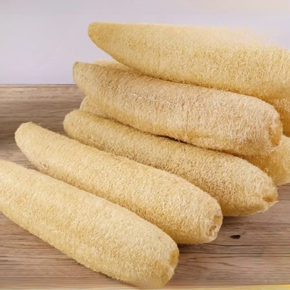 Esponja de Luffa Natural, esponja de lufa, tablero de celulosa, cocina, baño, ducha, esponja, 1 ud.