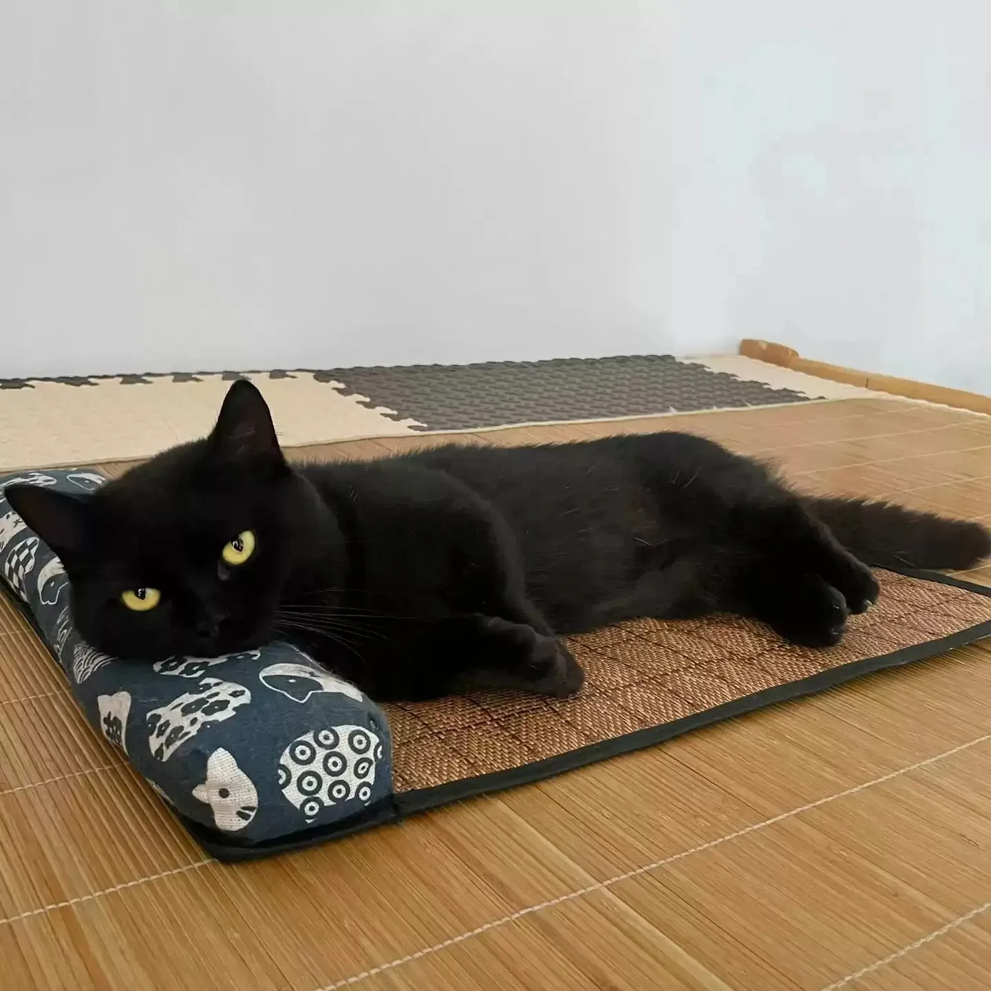 Estera refrescante, accesorios para gatos, rascador de verano con una casa, productos para mascotas, bandeja, cosas, muebles, camas para mascotas, esteras para animales - imagen 2