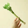 1pc celery