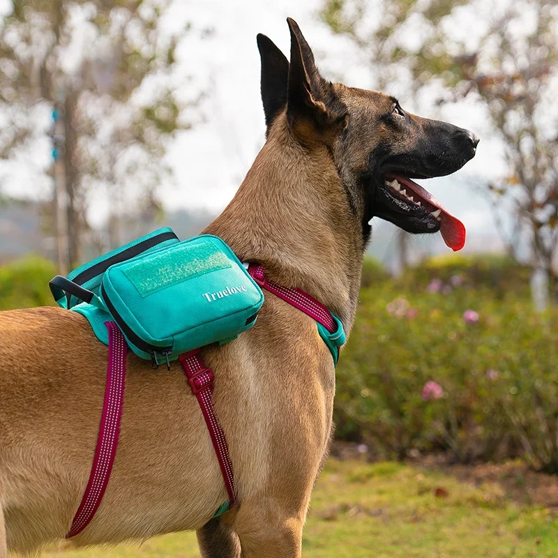 Bolsa de arnés para perros, sistema de montaje táctico, bolsa de accesorios para herramientas de utilidad, bolsa para hervidor de aperitivos para mascotas, accesorios para chaleco de caza al aire libre - imagen 2