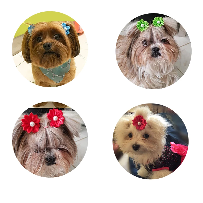 Lazos goma perros - Accesorios pelo Masue Pets - imagen 2