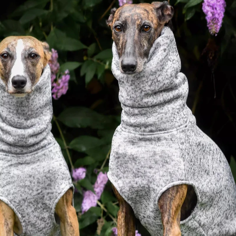 Ropa de invierno para perros, ropa cálida de otoño para perros grandes, cachorros pequeños, suéter de lujo para mascotas, accesorios para mascotas, suministros de productos de ropa - imagen 2