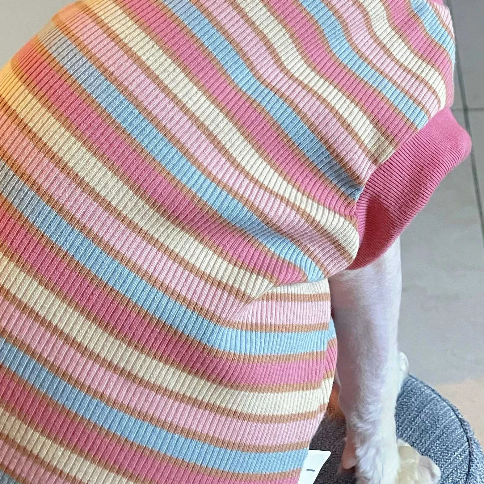 Camiseta algodón manga corta rayas rosas para gato Sphynx y gatitos - imagen 5