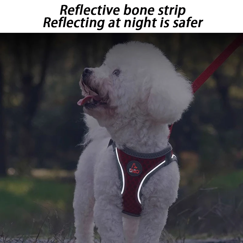 Correa para perro de 1,5 M, chaleco fuerte, conjunto de arnés para perro, arnés de pecho para perros pequeños y medianos, arnés reflectante para caminar al aire libre para mascotas, Teddy - imagen 5