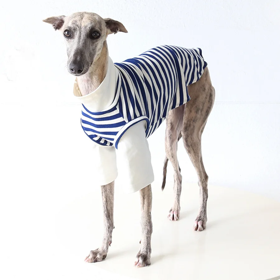 Chaleco térmico galgo y whippet: abrigo ligero cálido para perros