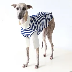 Chaleco térmico galgo y whippet: abrigo ligero cálido para perros
