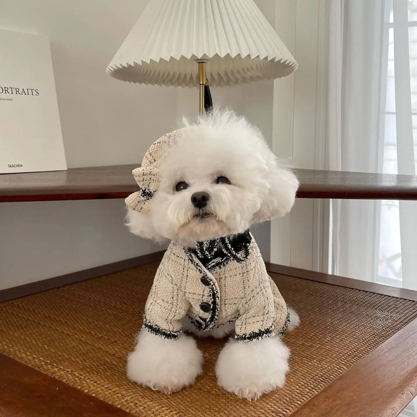 Vestido de princesa francesa de alce INS para invierno, ropa maltesa para mascotas, gato, perro, pinza para el pelo gratis, negro, blanco, diseño de moda de lujo, ropa para perros - imagen 2