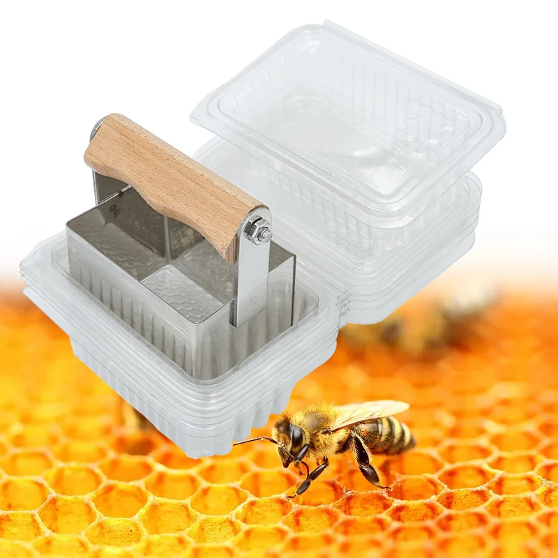 Cortador de miel de abeja para apicultura, peine de abeja de acero inoxidable, herramienta de corte de miel con mango de madera y caja cuadrada de panal de 10 Uds. - imagen 3