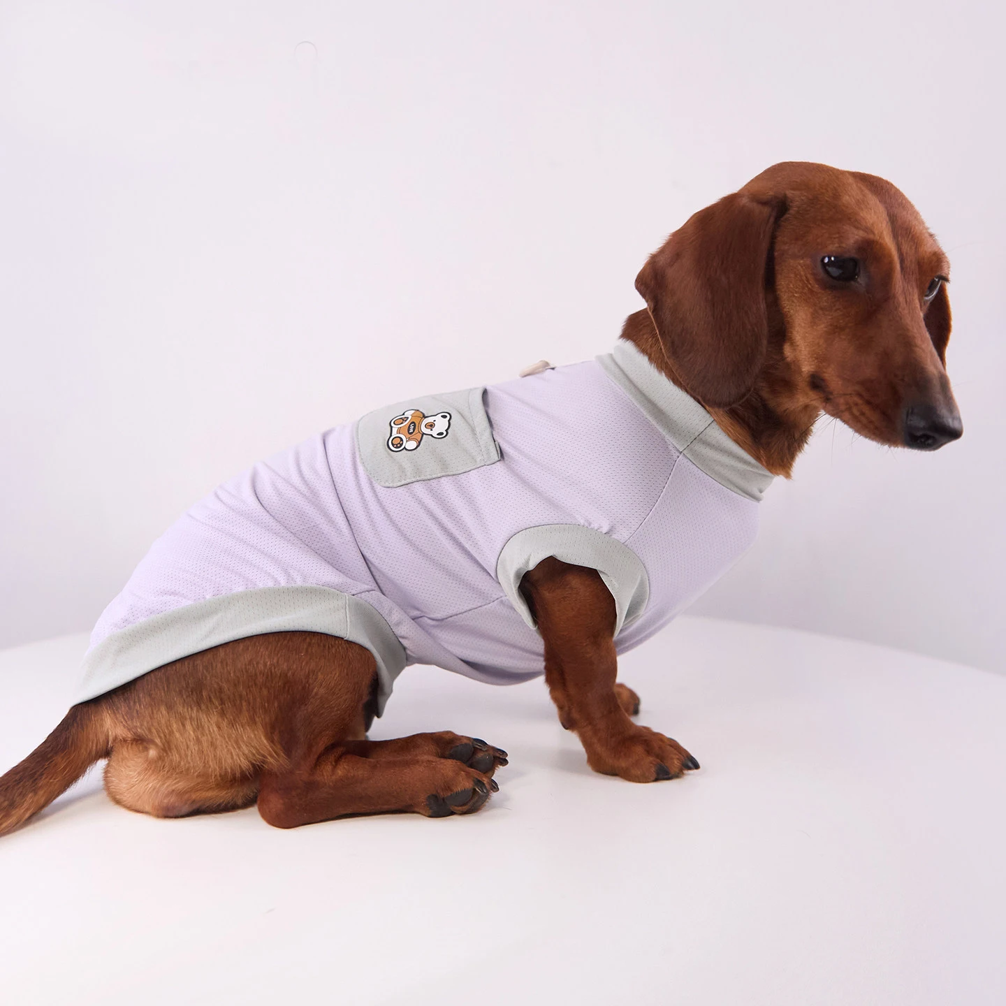 Ropa veraniega para perros: camiseta transpirable con alta ventilacion - imagen 3