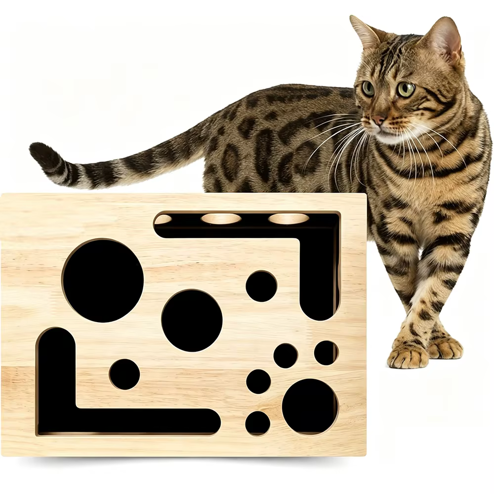 Caja rascadora gatos interior con enriquecimiento y protección muebles