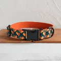 Dog Collar