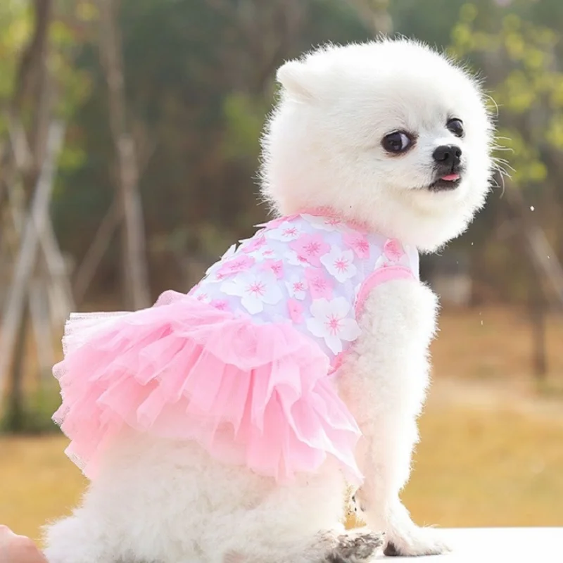 Vestido de tul con encaje, estampado floral para gatos y perros