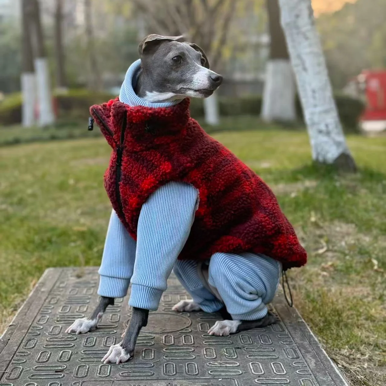 Chaleco de forro polar para perros - Mono cálido para Galgo Italiano - imagen 2