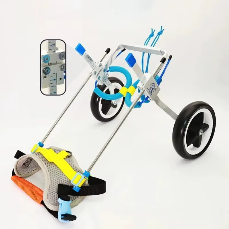 Silla de ruedas para perros y gatos discapacitados con ajuste