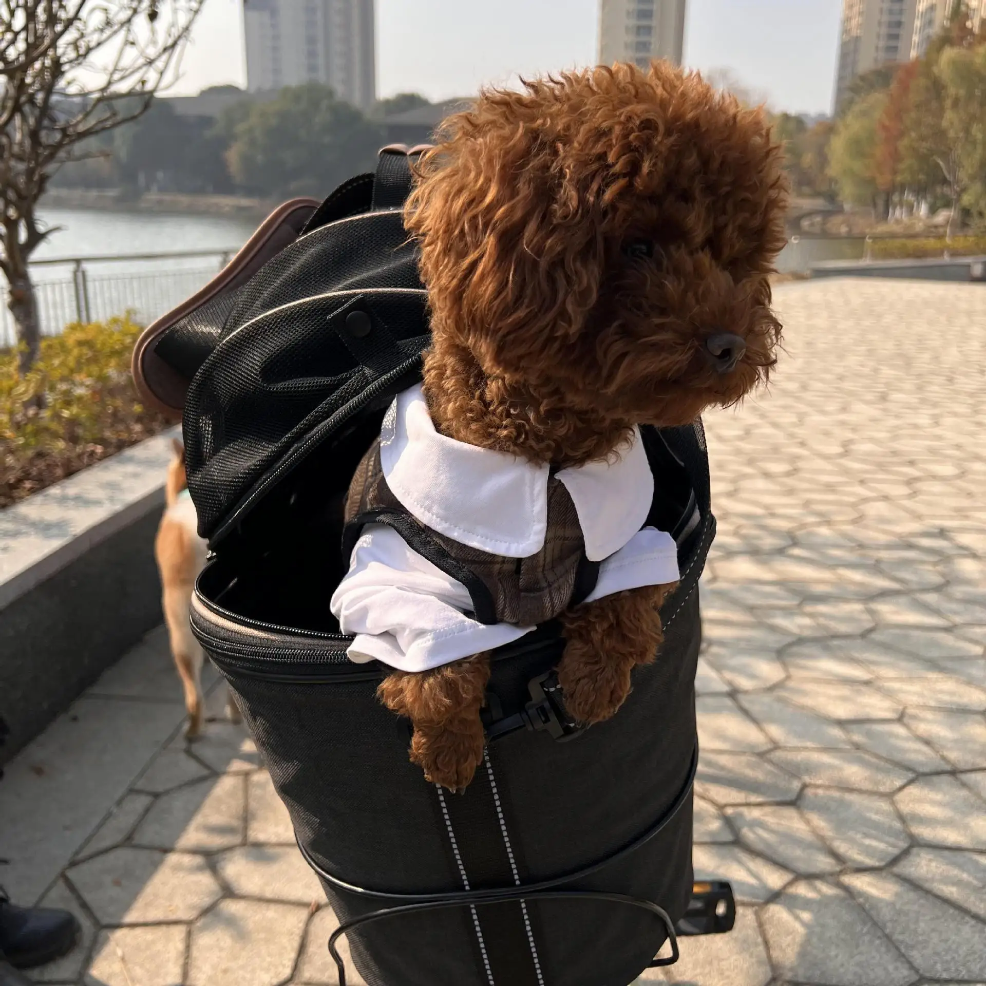 Asiento trasero de bicicleta, bolsa de coche para perros y mascotas, gran capacidad, vehículo eléctrico, Scooter azul, bolsa de lona plegable de mano para coche, productos para mascotas - imagen 2