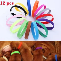 Collar ajustable para cachorros y gatitos de nailon suave