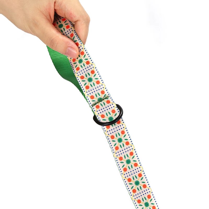 PLATTCO Correa de perro personalizada BISCUITS DE FRUTA personalizada para caminar al accesorio de correa de perro para perro pequeño, mediano y grande, talla 5 PDL331 - imagen 4