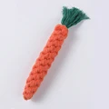 Carrot