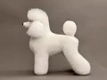 White Poodle hair