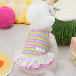 Vestido para Yorkshire Terrier – Falda con tirantes