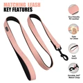 Pink Leash