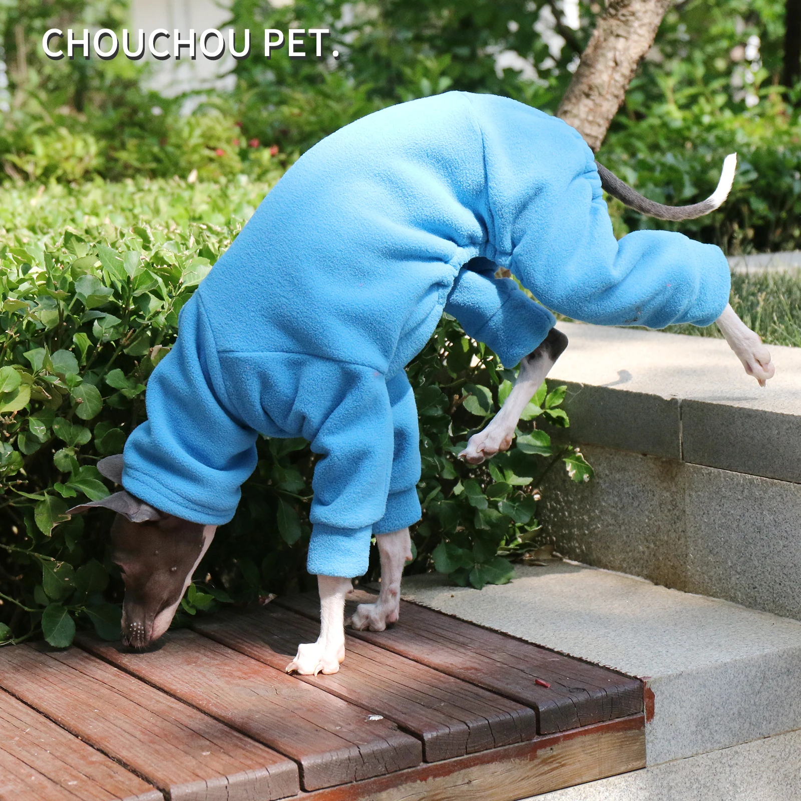 Pijamas Whippet, Mono para Perros Ancianos, Fácil de poner y Hecho a Orden en Polar Suave, Ropa de Galgo Italiano - imagen 4