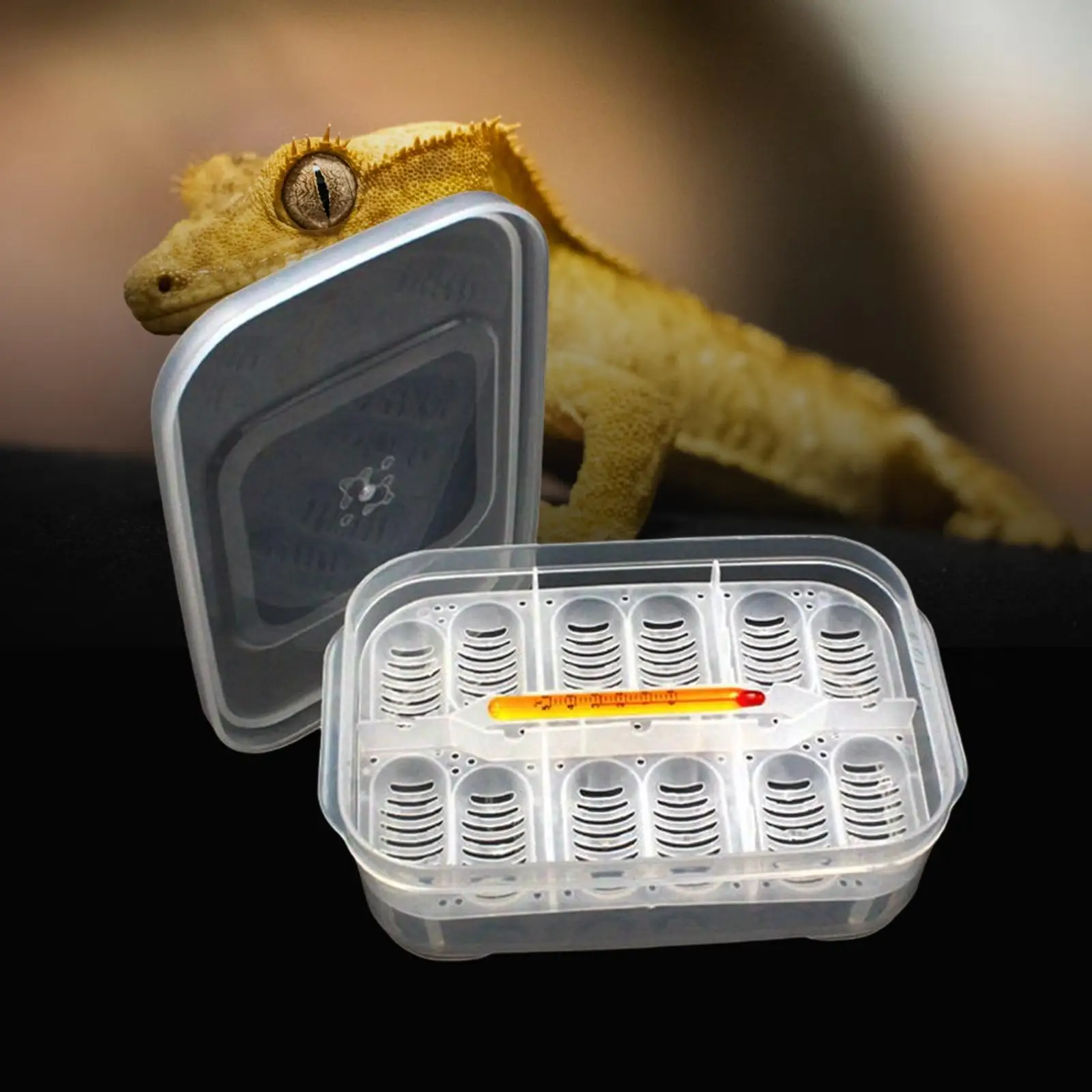 Reptile Breeding Box Incubator Suspended Hatchery Box Tool DIY Container for Hatching Incubation Breeding Supplies Turtles Gecko