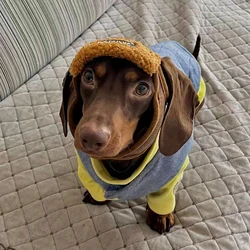 Gorra piloto para perros salchicha y razas pequeñas, cálida divertida