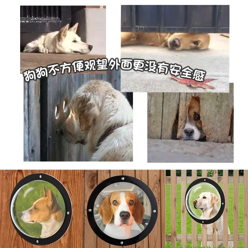 Ventana acrílica para gatos y perros - Visión clara y transparente - imagen 4
