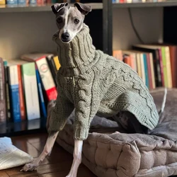 Jersey cálido cuello alto para Whippet y Galgo Italiano – Anti frío