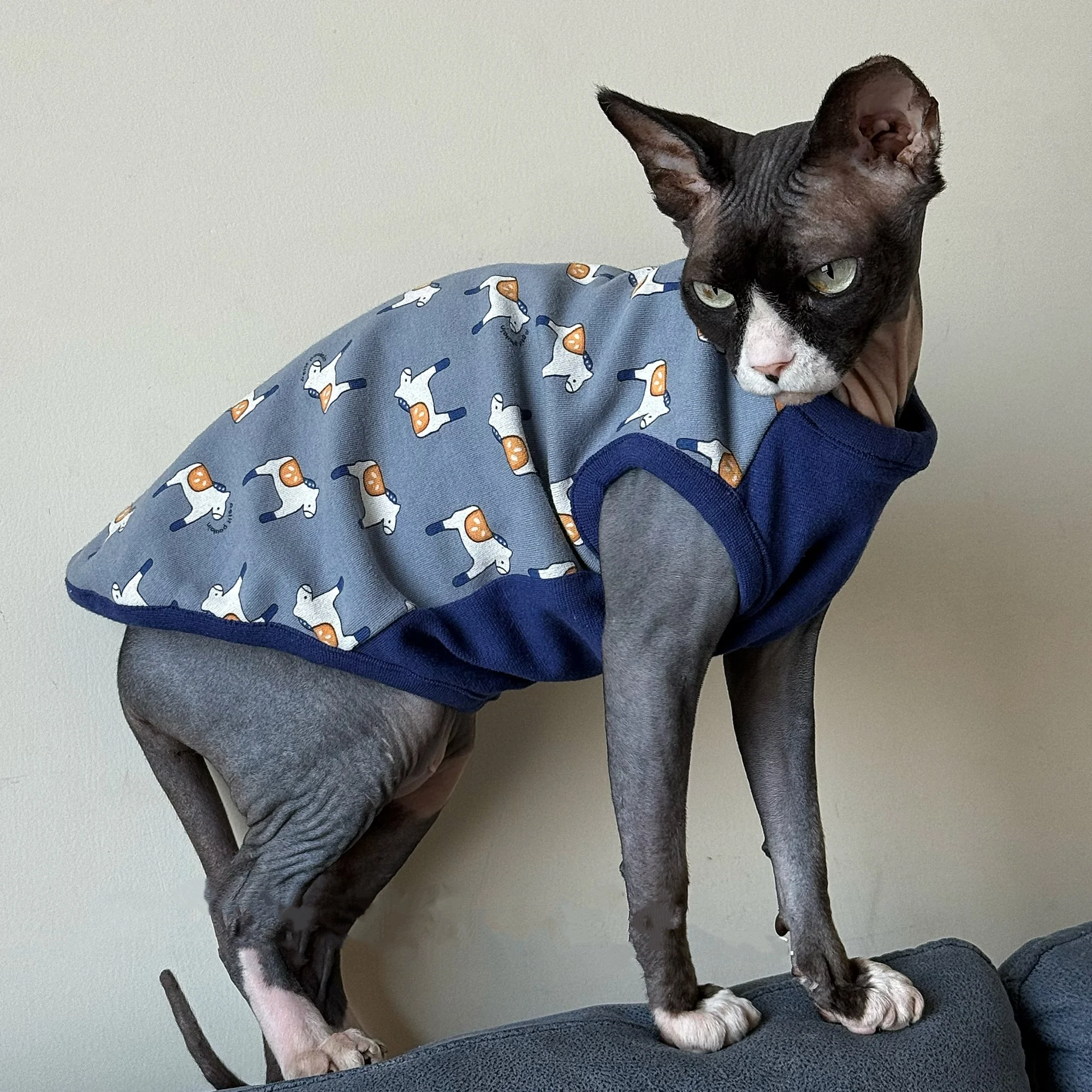 Camiseta azul algodón manga corta gatos Sphynx Devon Rex caballo suave - imagen 2