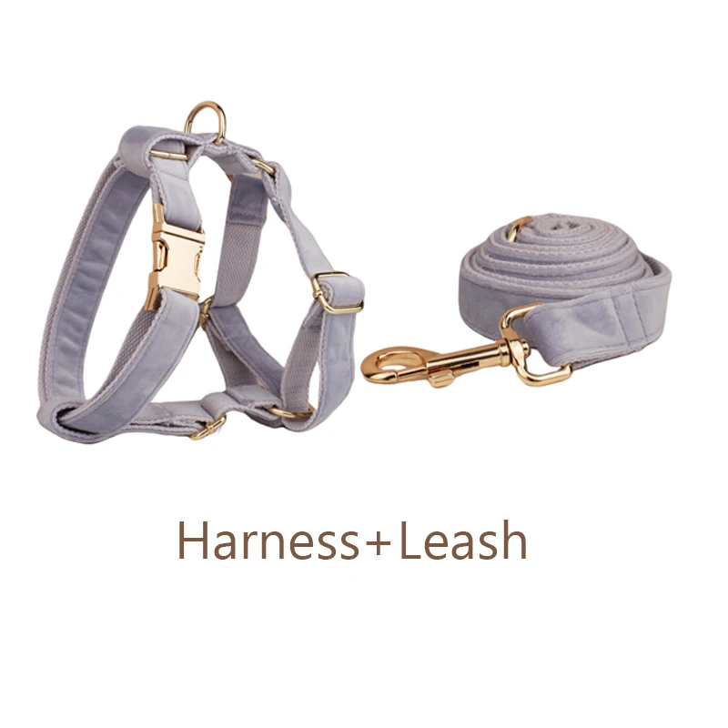 harness leash