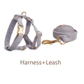 harness leash
