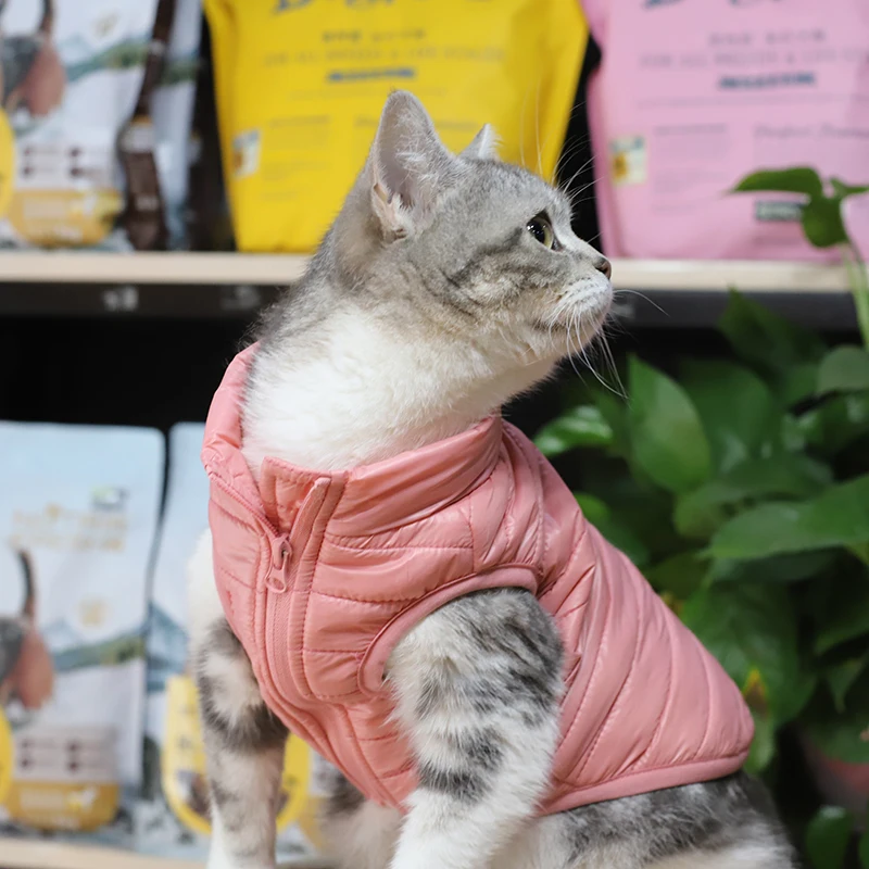 Chaqueta impermeable de invierno para perros pequeños y gatos - imagen 4